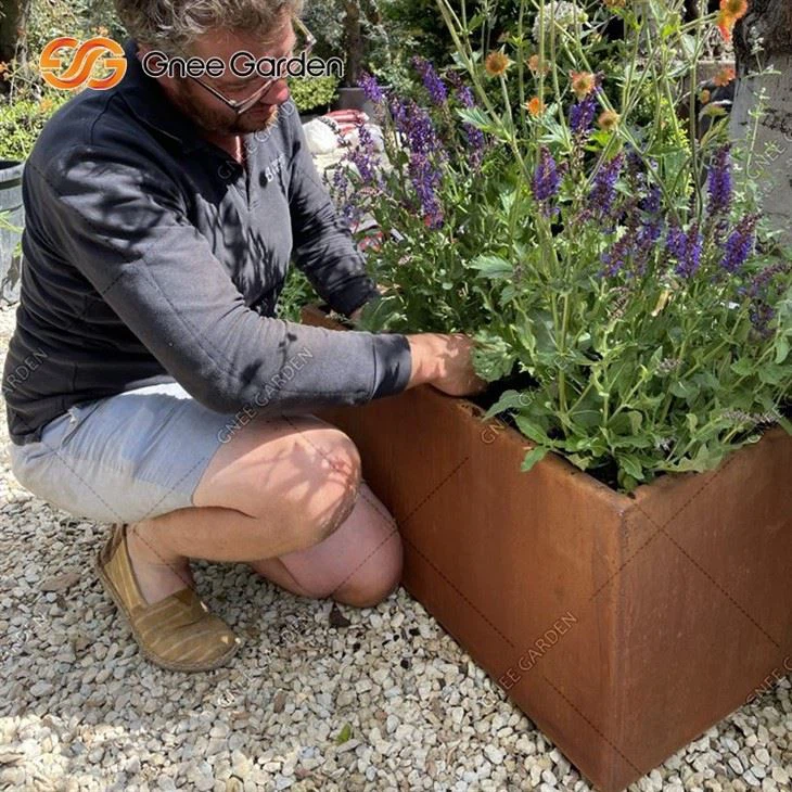 Cube Corten Steel Metal Plant Containers